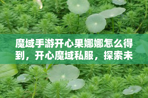 魔域手游开心果娜娜怎么得到，开心魔域私服，探索未知世界的奇幻之旅