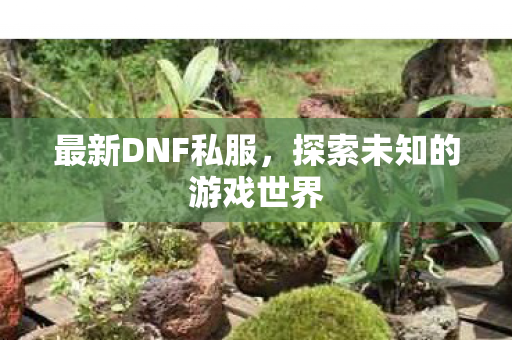 最新DNF私服，探索未知的游戏世界