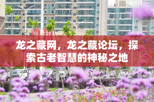 龙之藏网，龙之藏论坛，探索古老智慧的神秘之地