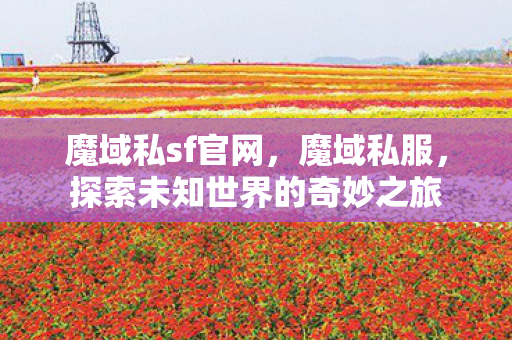 魔域私sf官网，魔域私服，探索未知世界的奇妙之旅
