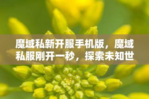 魔域私新开服手机版，魔域私服刚开一秒，探索未知世界的奇幻之旅