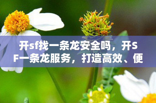 开sf找一条龙安全吗，开SF一条龙服务，打造高效、便捷的企业服务新生态