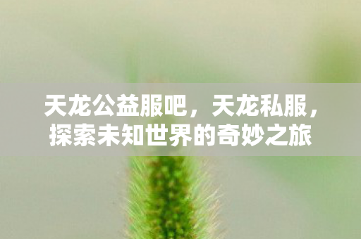 天龙公益服吧，天龙私服，探索未知世界的奇妙之旅