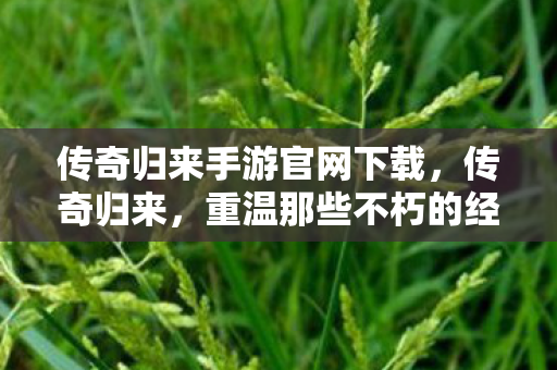 传奇归来手游官网下载，传奇归来，重温那些不朽的经典