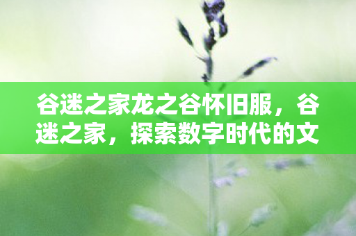 谷迷之家龙之谷怀旧服，谷迷之家，探索数字时代的文化新生态