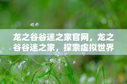 龙之谷谷迷之家官网，龙之谷谷迷之家，探索虚拟世界的奇幻之旅