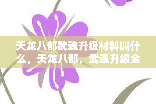 天龙八部武魂升级材料叫什么，天龙八部，武魂升级全攻略