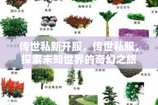 传世私新开服,传世私服,探索未知世界的奇幻之旅 传世私新开服,传世私服,探索未知世界的奇幻之旅