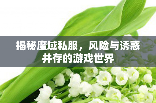 揭秘魔域私服，风险与诱惑并存的游戏世界