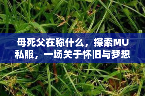 母死父在称什么,探索MU私服,一场关于怀旧与梦想的冒险 母死父在称什么,探索MU私服,一场关于怀旧与梦想的冒险
