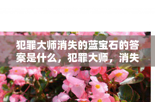 犯罪大师消失的蓝宝石的答案是什么，犯罪大师，消失的蓝宝石