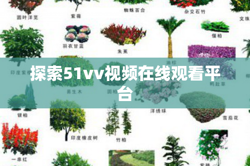 探索51vv视频在线观看平台