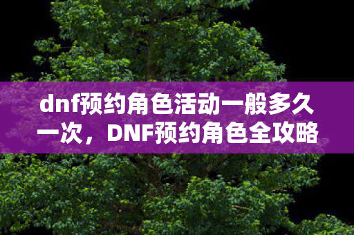 dnf预约角色活动一般多久一次，DNF预约角色全攻略，打造你的专属角色，开启冒险之旅！