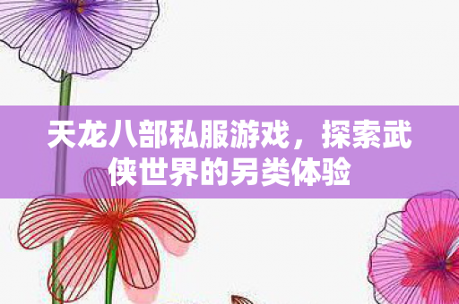 天龙八部私服游戏，探索武侠世界的另类体验