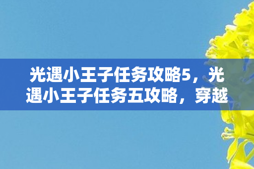 光遇小王子任务攻略5，光遇小王子任务五攻略，穿越星漠，寻找玫瑰与狐狸的秘密