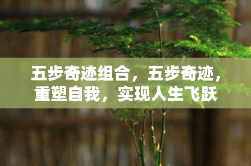 五步奇迹组合，五步奇迹，重塑自我，实现人生飞跃