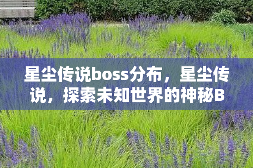 星尘传说boss分布，星尘传说，探索未知世界的神秘BOSS
