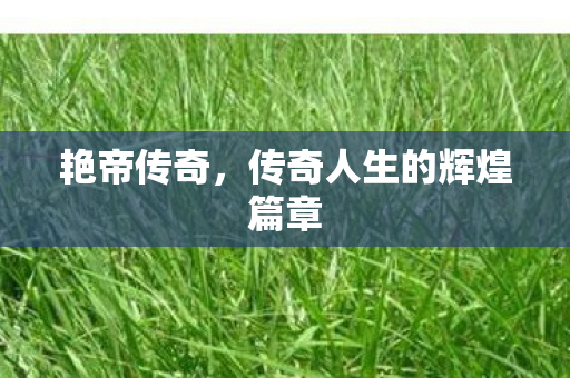 艳帝传奇，传奇人生的辉煌篇章