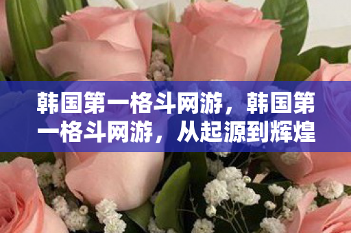 韩国第一格斗网游，韩国第一格斗网游，从起源到辉煌的传奇之路