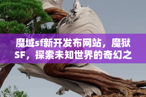 魔域sf新开发布网站，魔狱SF，探索未知世界的奇幻之旅