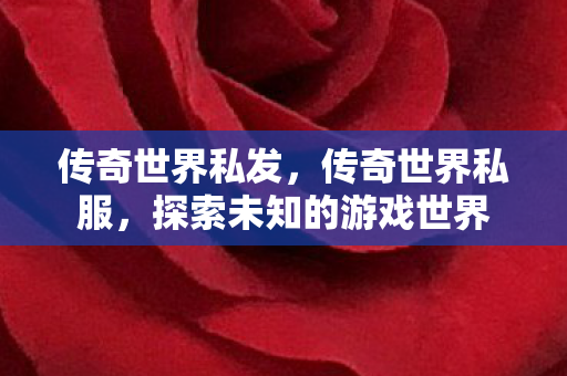 传奇世界私发，传奇世界私服，探索未知的游戏世界