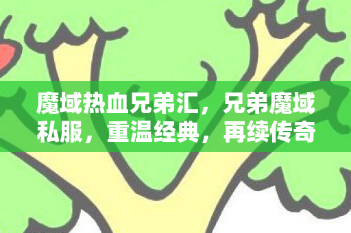 魔域热血兄弟汇，兄弟魔域私服，重温经典，再续传奇