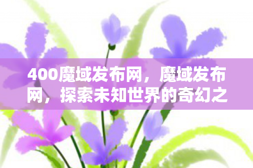 400魔域发布网，魔域发布网，探索未知世界的奇幻之旅