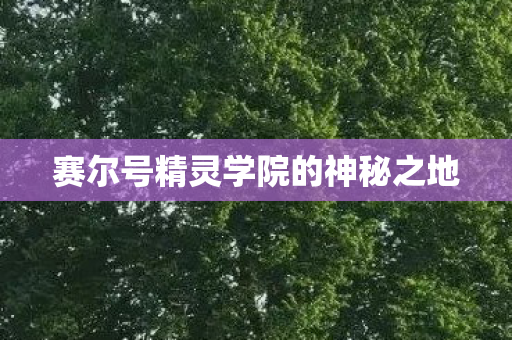 赛尔号精灵学院的神秘之地