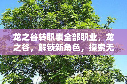 龙之谷转职表全部职业，龙之谷，解锁新角色，探索无限可能