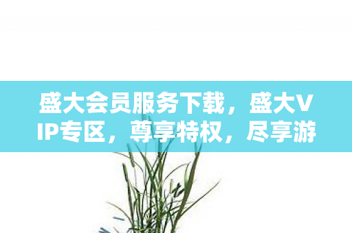 盛大会员服务下载,盛大VIP专区,尊享特权,尽享游戏乐趣 盛大会员服务下载,盛大VIP专区,尊享特权,尽享游戏乐趣