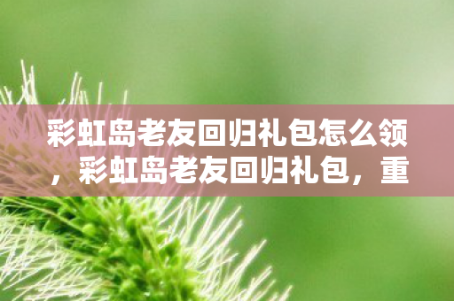 彩虹岛老友回归礼包怎么领，彩虹岛老友回归礼包，重温经典，再续前缘