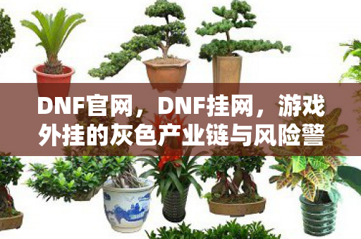 DNF官网,DNF挂网,游戏外挂的灰色产业链与风险警示 DNF官网,DNF挂网,游戏外挂的灰色产业链与风险警示