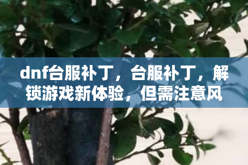 dnf台服补丁，台服补丁，解锁游戏新体验，但需注意风险