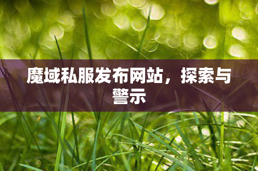 魔域私服发布网站，探索与警示
