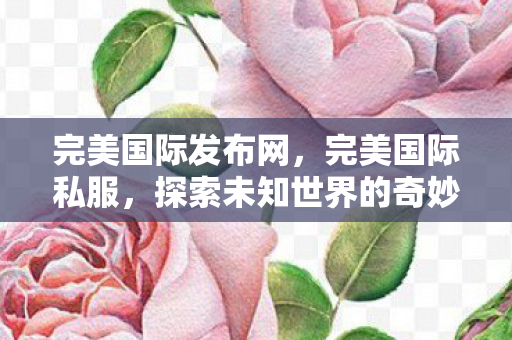 完美国际发布网，完美国际私服，探索未知世界的奇妙之旅