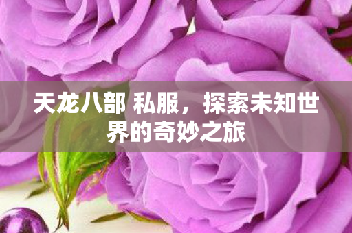 天龙八部 私服，探索未知世界的奇妙之旅