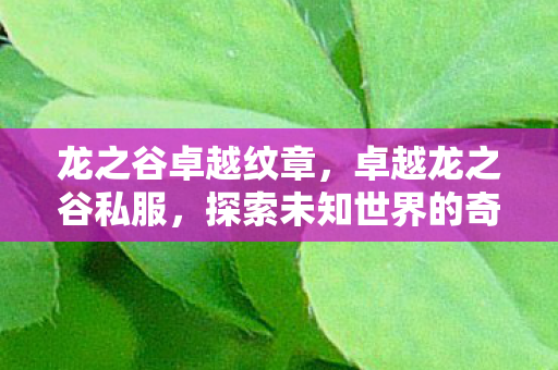 龙之谷卓越纹章，卓越龙之谷私服，探索未知世界的奇幻之旅