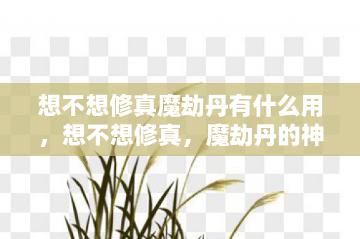 想不想修真魔劫丹有什么用，想不想修真，魔劫丹的神秘与诱惑