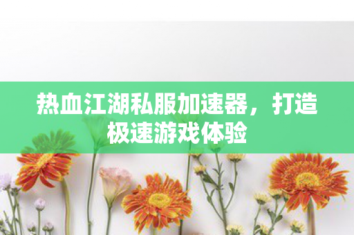 热血江湖私服加速器，打造极速游戏体验