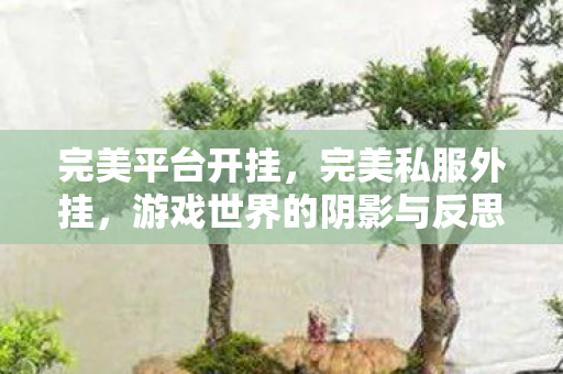 完美平台开挂，完美私服外挂，游戏世界的阴影与反思