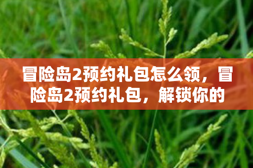 冒险岛2预约礼包怎么领，冒险岛2预约礼包，解锁你的游戏之旅新篇章