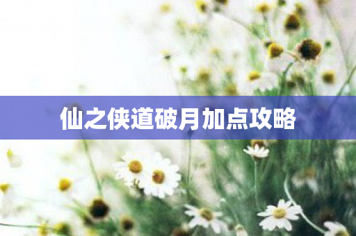 仙之侠道破月加点攻略