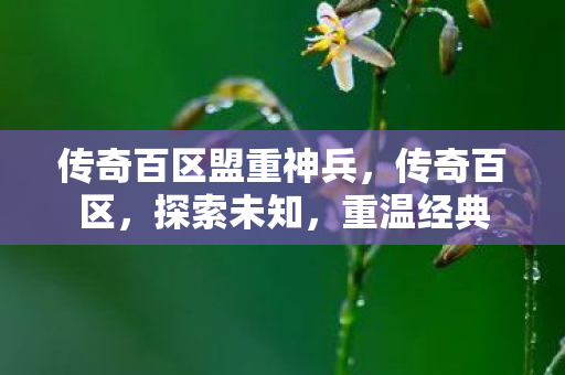 传奇百区盟重神兵，传奇百区，探索未知，重温经典