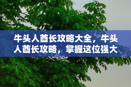 牛头人酋长攻略大全，牛头人酋长攻略，掌握这位强大战士的精髓
