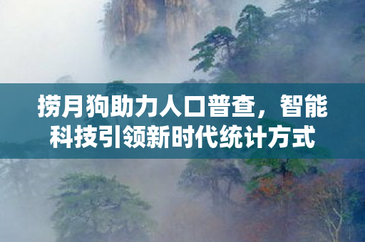 捞月狗助力人口普查，智能科技引领新时代统计方式