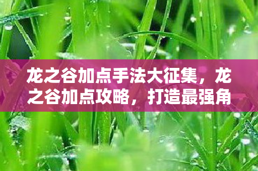 龙之谷加点手法大征集，龙之谷加点攻略，打造最强角色