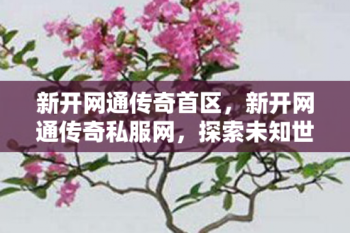 新开网通传奇首区，新开网通传奇私服网，探索未知世界的奇妙之旅