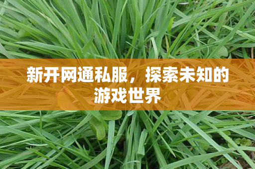 新开网通私服，探索未知的游戏世界