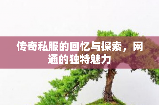传奇私服的回忆与探索，网通的独特魅力