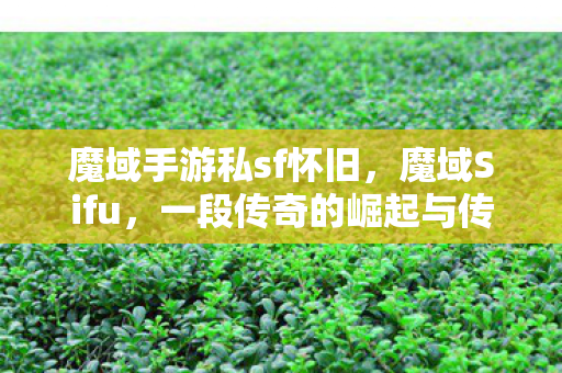 魔域手游私sf怀旧，魔域Sifu，一段传奇的崛起与传承